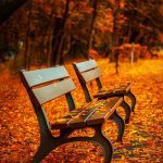 due panchine vuote in un giardino in autunno