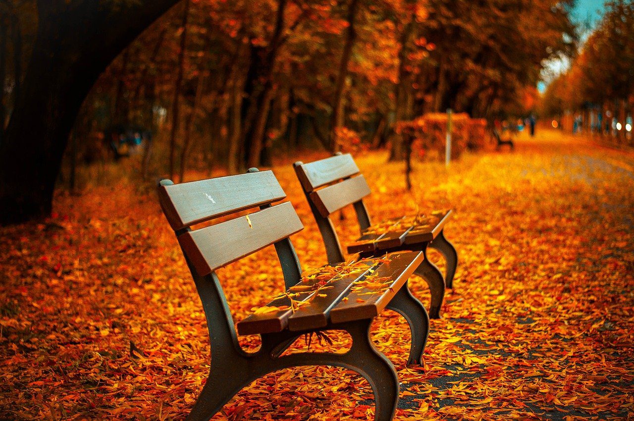 due panchine vuote in un giardino in autunno