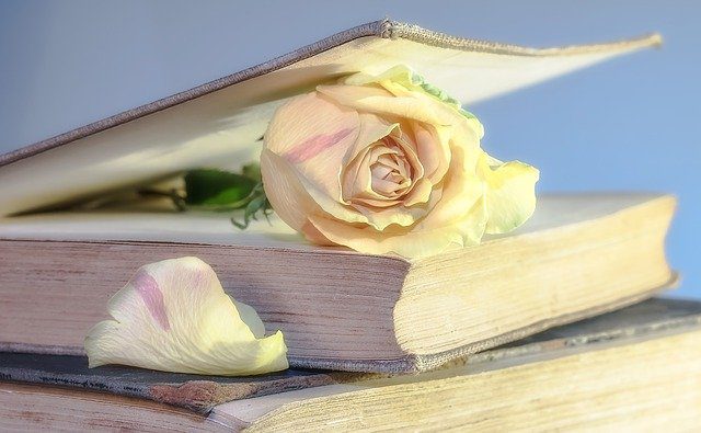 L'immagine rappresenta un libro semiaperto e una rosa infilata al centro
