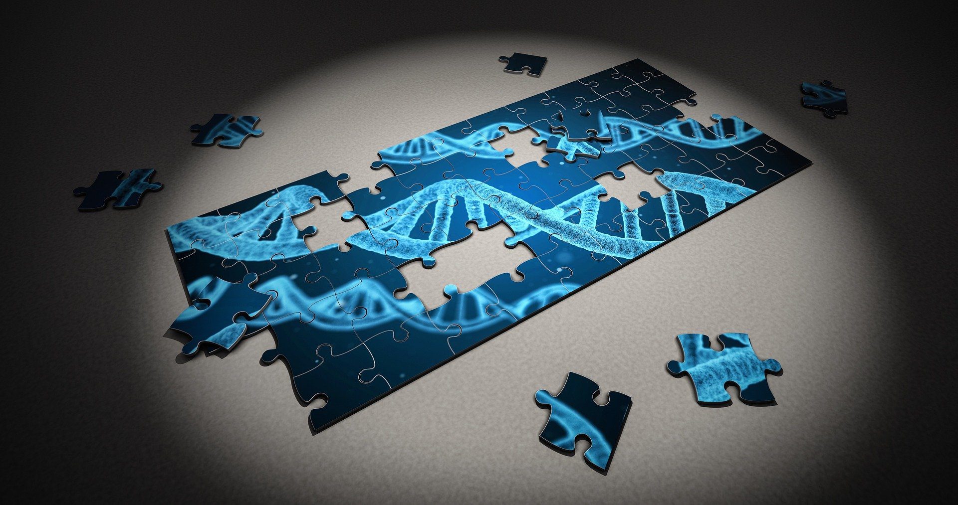 puzzle raffigurante il dna