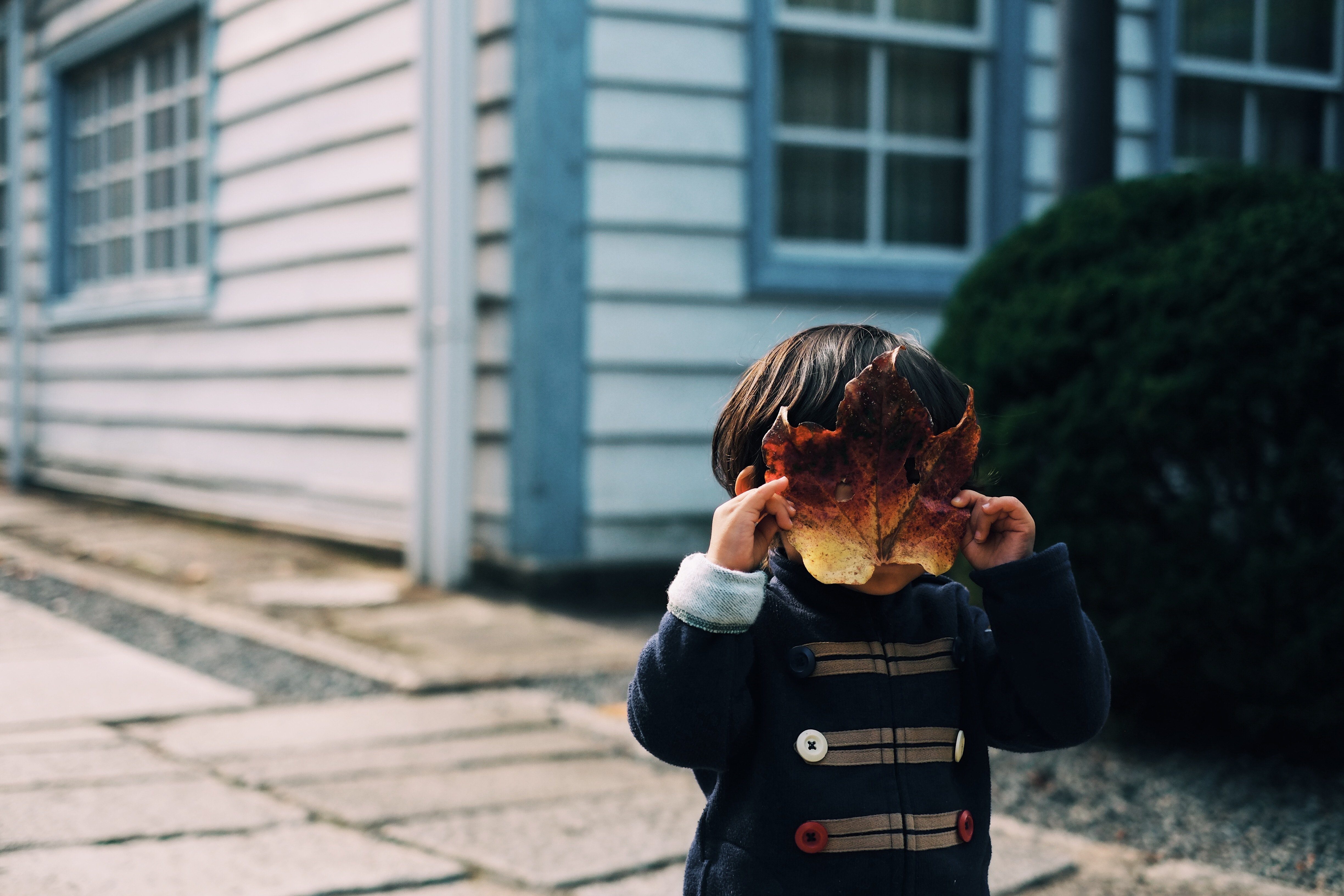 un bambino si copre la faccia con una foglia