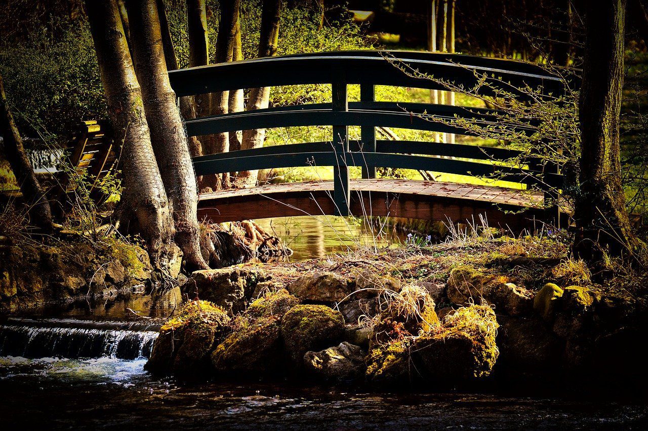 un ponte congiunge una parte e l'altra di un bosco, altrimenti non raggiungibili