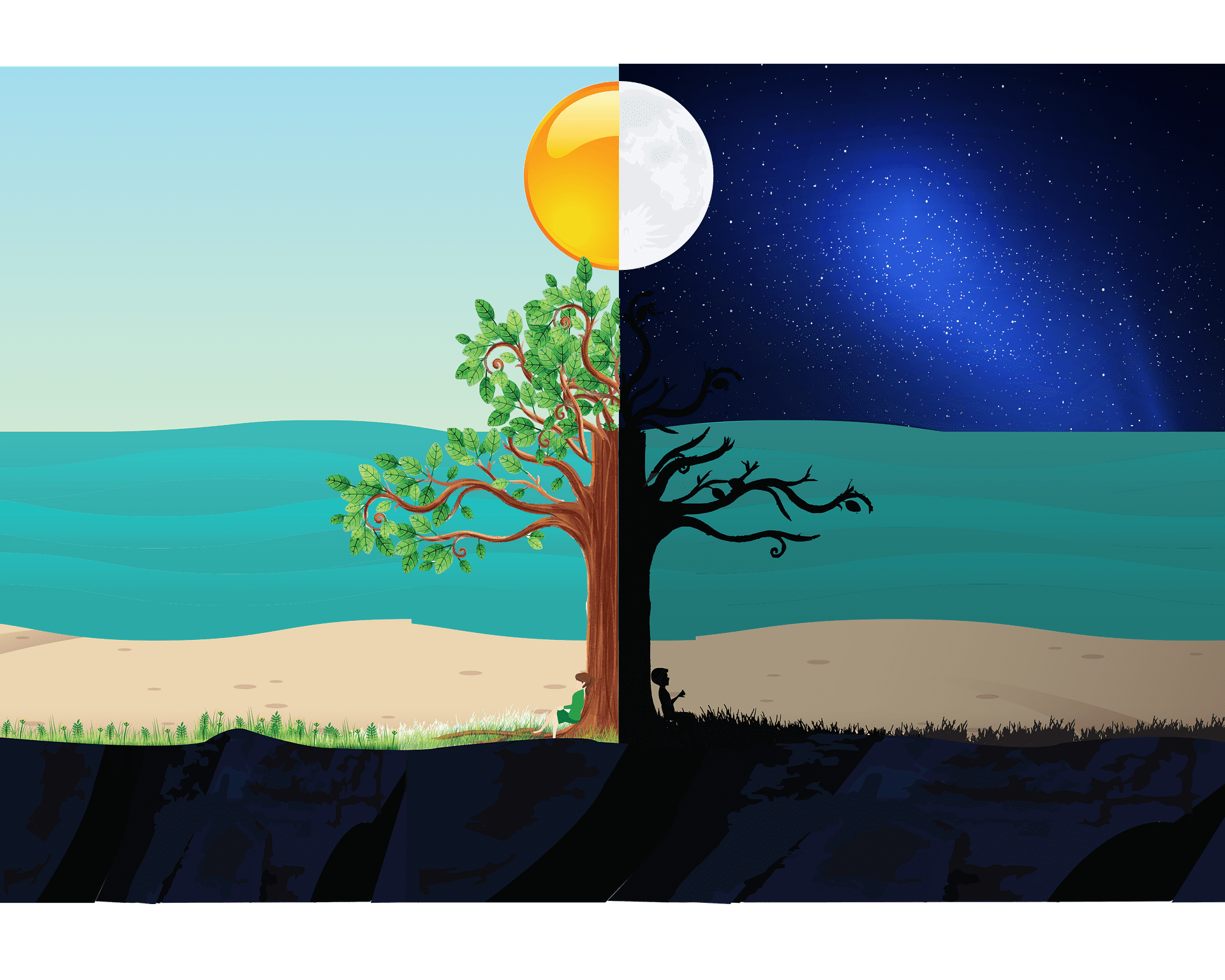 disegno di un albero diviso tra giorno e notte