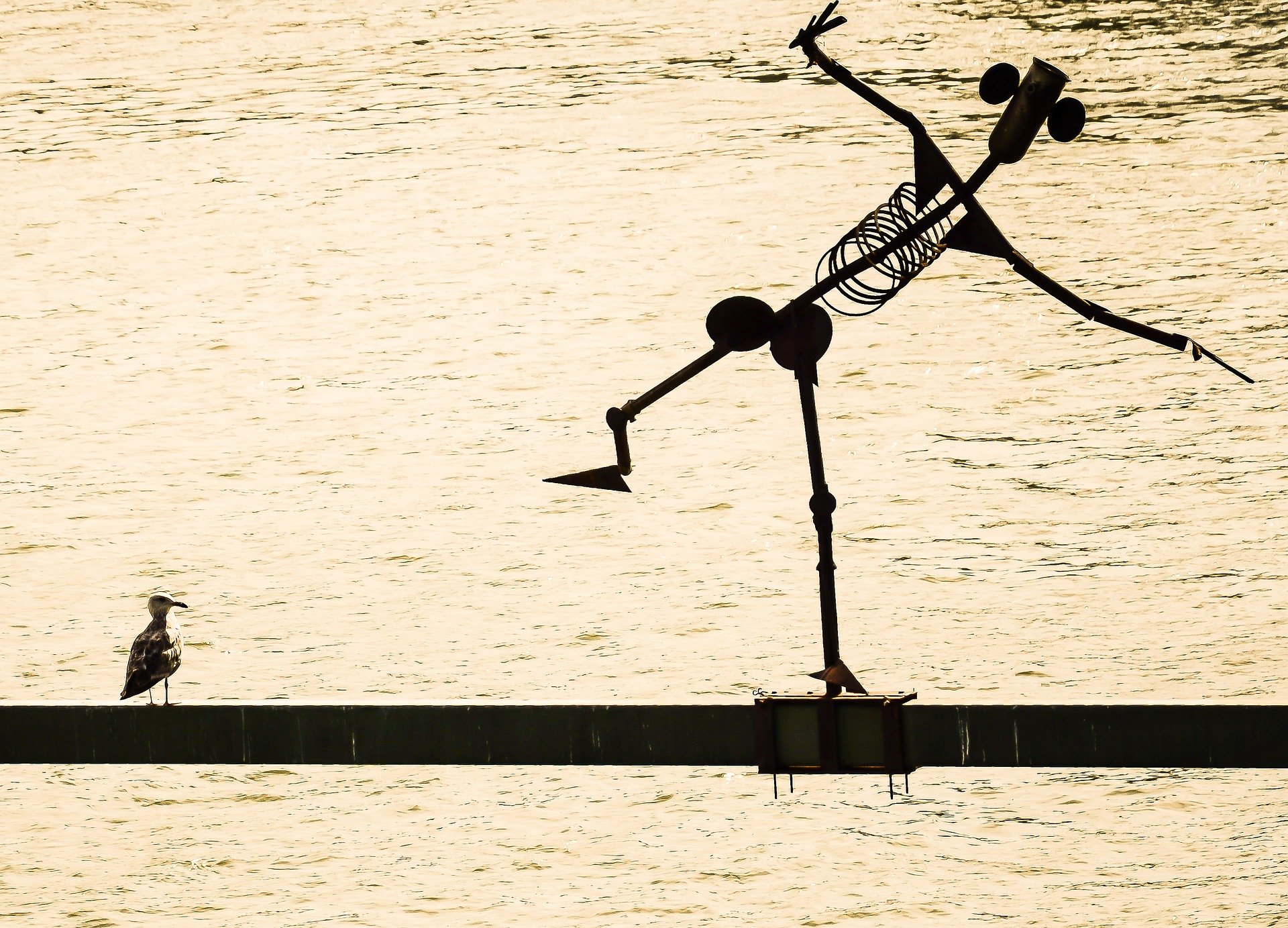 un robot imita un uccello entrambi in equilibrio su un ramo un di lago