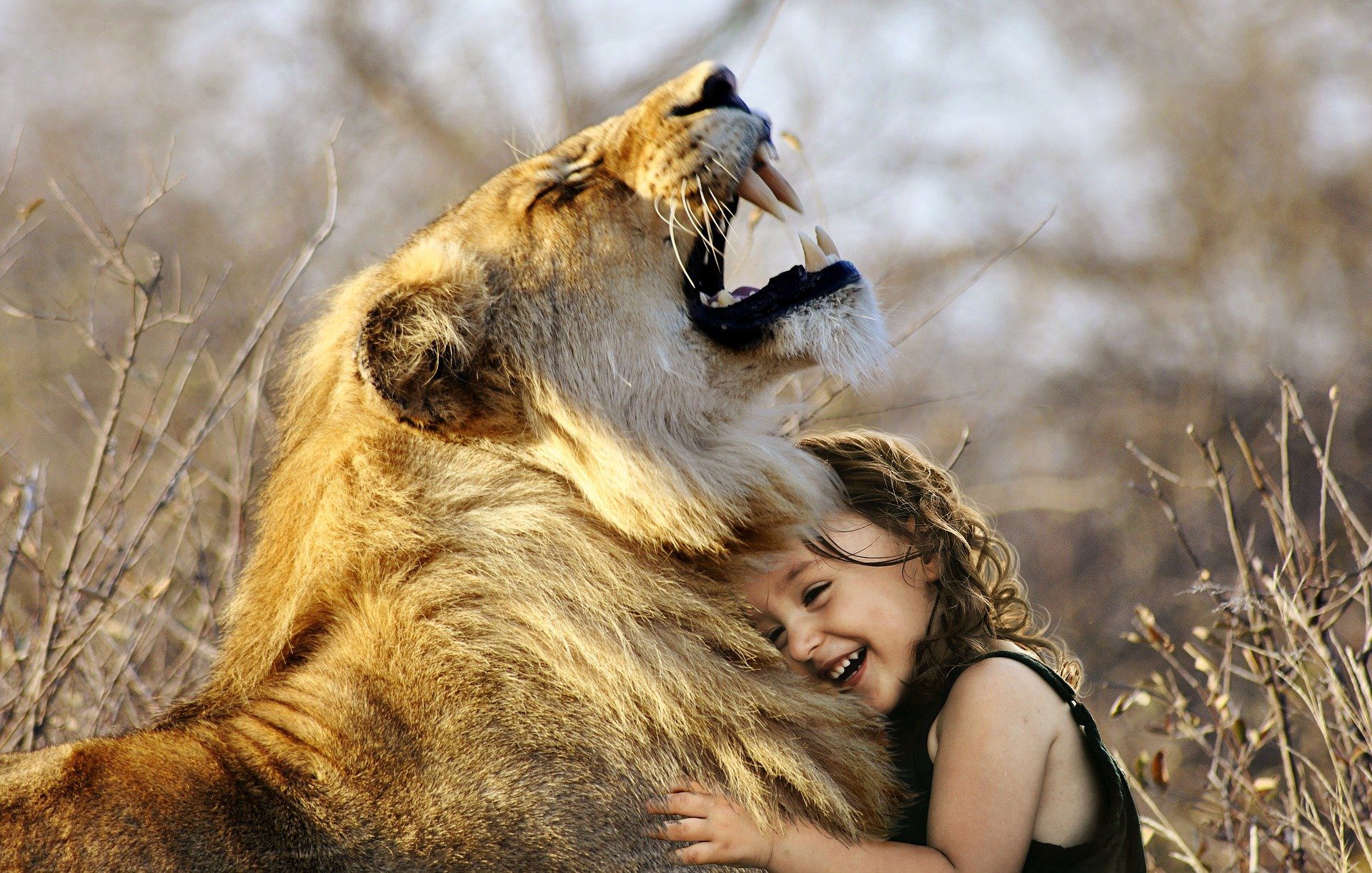 una bambina e un leone ridono abbracciandosi