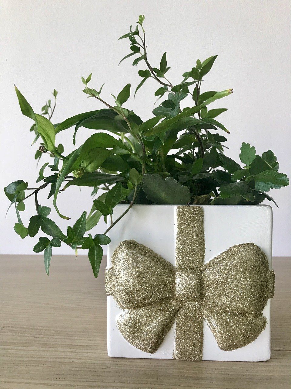 immagine di una pianta rigogliosa posta in un vaso a forma di pacco regalo