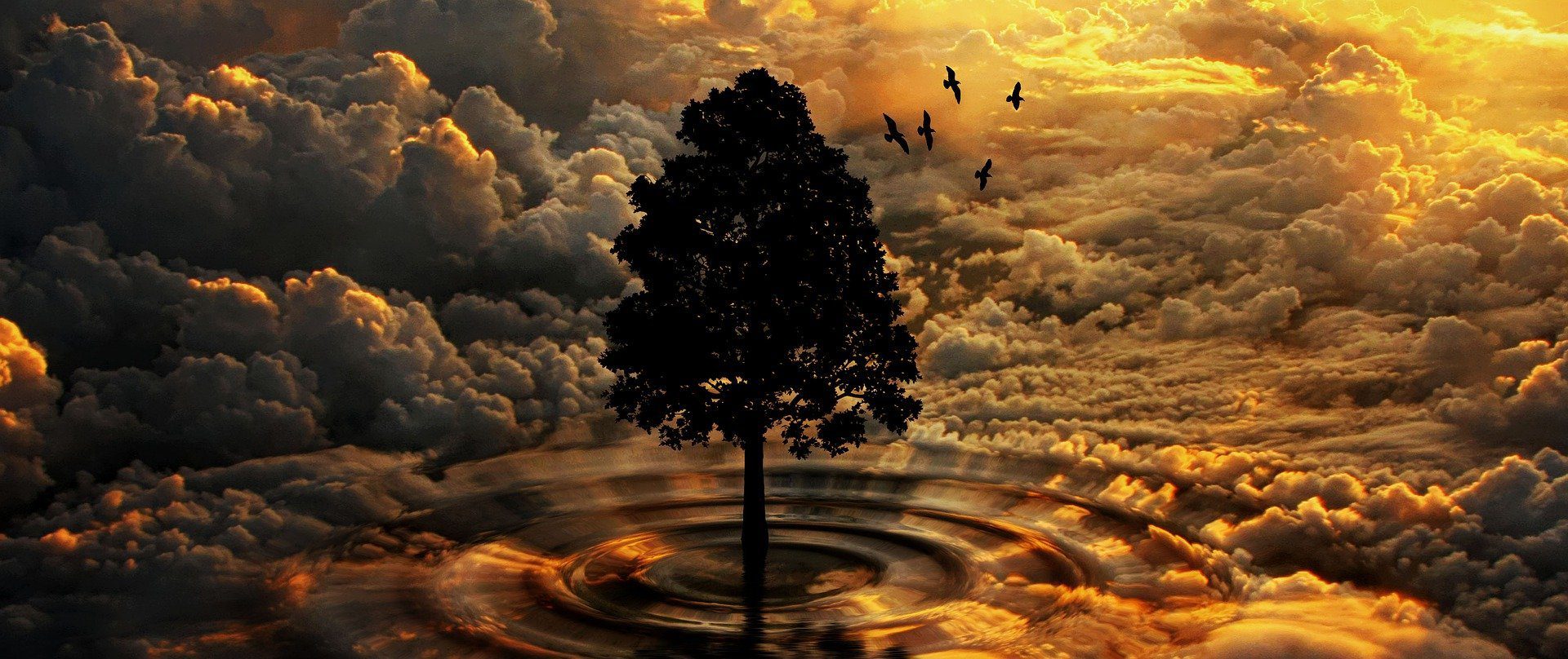 un albero in mezzo ad una tempesta di nuvole ed uccelli neri