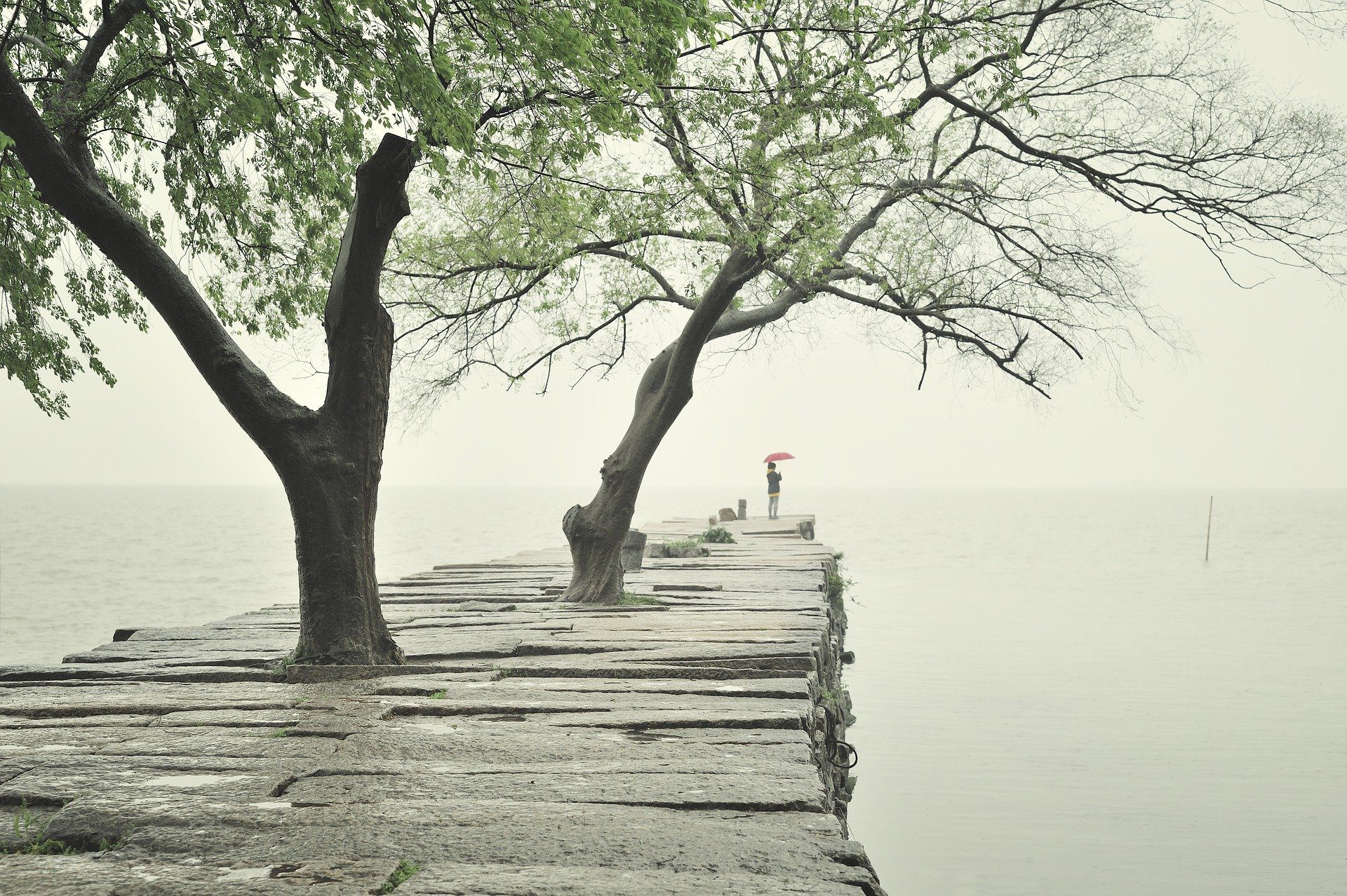 una donna sullo sfondo sotto ad un ombrello, su una passerella con degli alberi sopra il mare