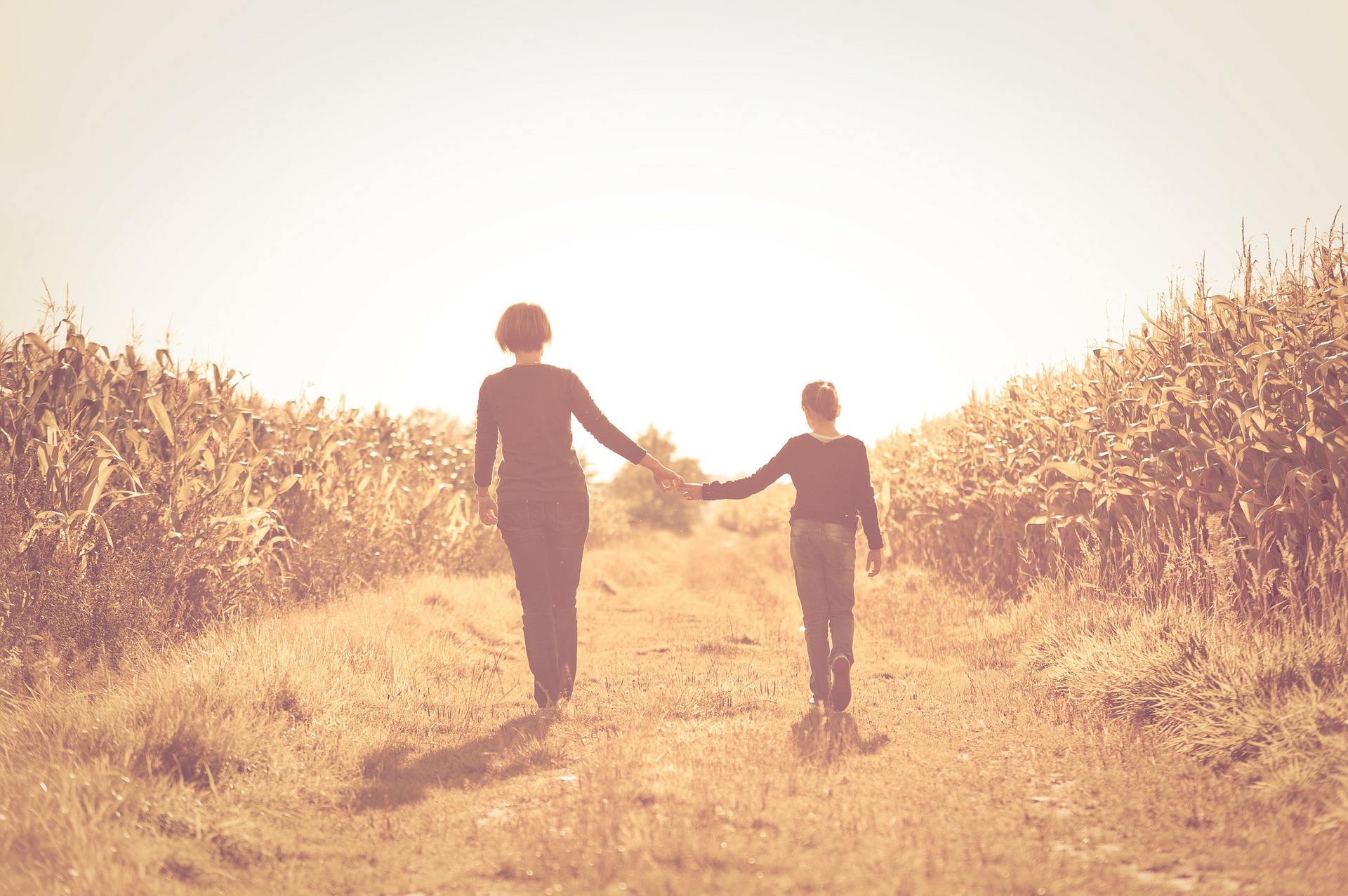nella campagna assolata in uina strada tra il grano, una donna e un ragazzo di spalle camminano mano nella mano